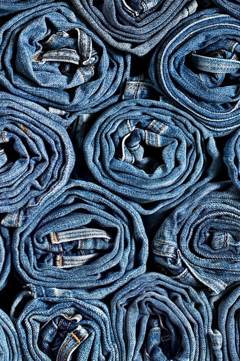 illustration denim (2)